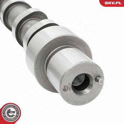 AX CU CAME ESEN SKV 80SKV024 1
