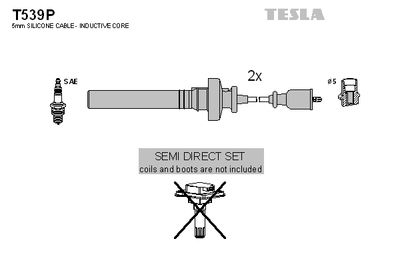 TESLA T539P TESLA T539P