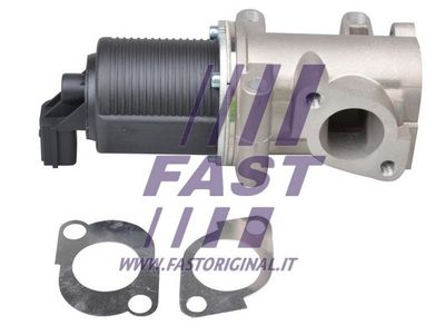 Zawór AGR FAST FT60237