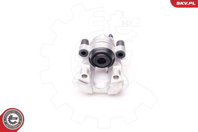 Brake Caliper 23SKV794