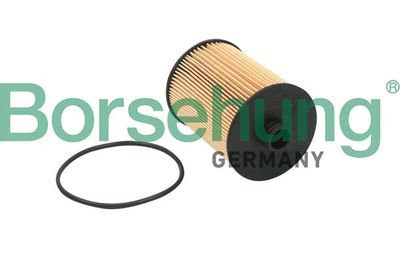 FILTRU ULEI Borsehung B18015