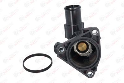 FLANSA LICHID RACIRE BIRTH 81054 9