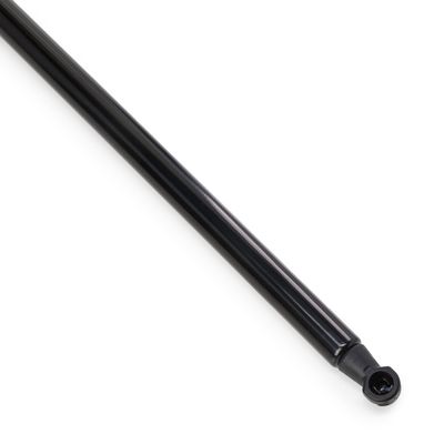 газов амортисьор, багажно/товарно пространство RIDEX 219G1295