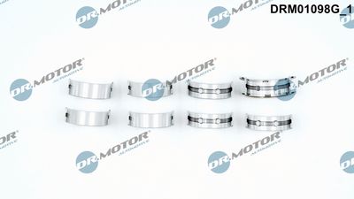 CUZINET ARBORE Dr.Motor Automotive DRM01098G 1