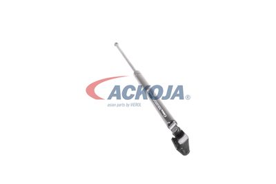 AMORTIZOR PORTBAGAJ ACKOJA A320092 47
