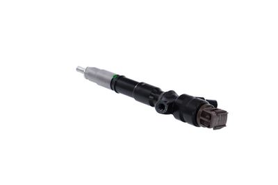 INJECTOR REMANTE 002003002104R 19