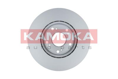 Brake Disc 1031128