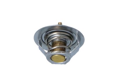 TERMOSTAT LICHID RACIRE NRF 725181 25