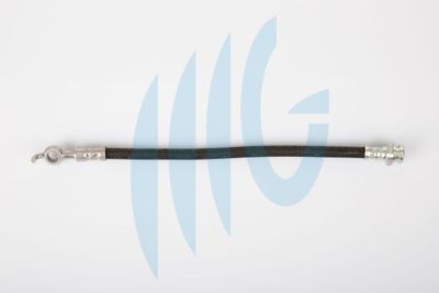 Тормозной шланг RICAMBIFLEX GM 02300878 для ASIA MOTORS HI-TOPIC