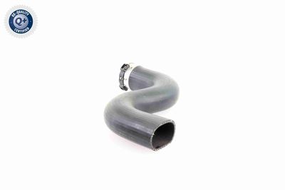 LADELUFTSCHLAUCH VAICO V103778 3