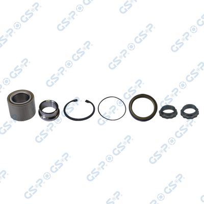 SET RULMENT ROATA GSP GKX0054