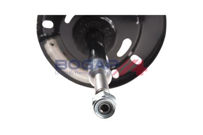 AMORTIZOR BOGAP C3410111 4