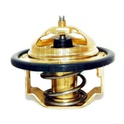 Termostat, chladivo HOFFER 8192182