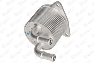 RADIATOR ULEI ULEI MOTOR BIRTH 80815 2