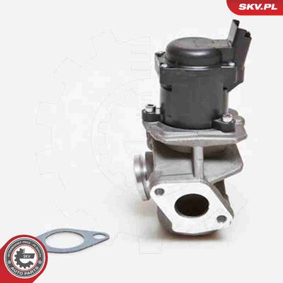 SUPAPA EGR ESEN SKV 14SKV028 1