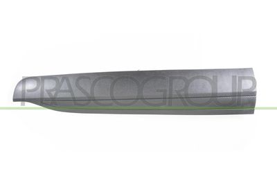 ELEMENTE DECORATIVE/PROTECTIE PORTIERA PRASCO FD8081404