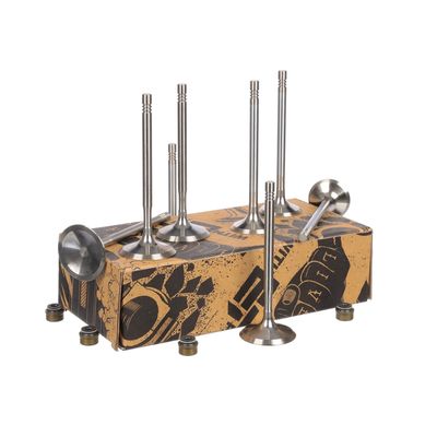 SET SUPAPE SUPAPă ADMISIE/EVACUARE ET ENGINETEAM VS0034 28