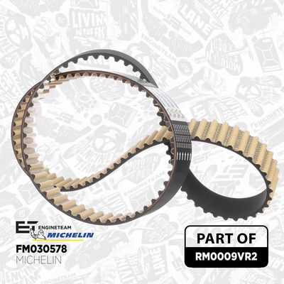 SET CUREA DE DISTRIBUTIE ET ENGINETEAM RM0009VR2 2
