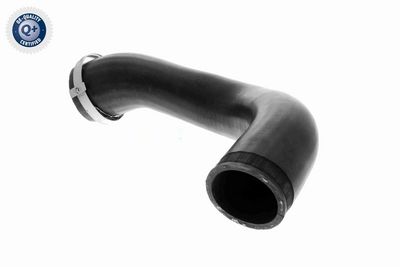 FURTUN EAR SUPRAALIMENTARE VAICO V104816 2