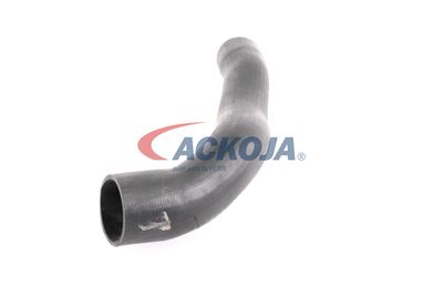 FURTUN EAR SUPRAALIMENTARE ACKOJA A379600 25