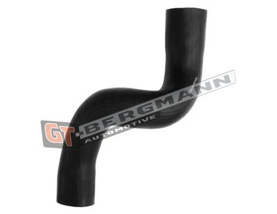 GT-BERGMANN Automotive - Hadica plniaceho vzduchu (hadica turba) AUDI , GT52-605