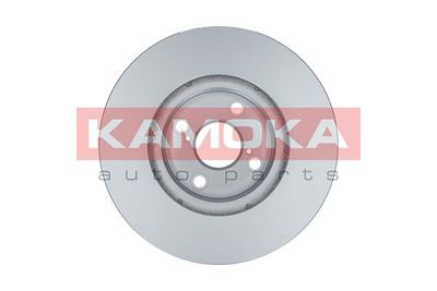 Brake Disc 103255