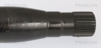 SET RULMENT ROATA TRISCAN 853023237 3