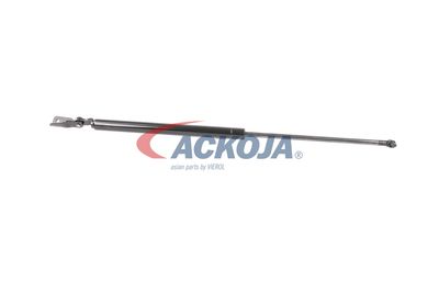 AMORTIZOR PORTBAGAJ ACKOJA A320095 14