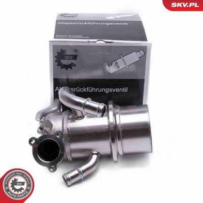 SUPAPA EGR ESEN SKV 14SKV243