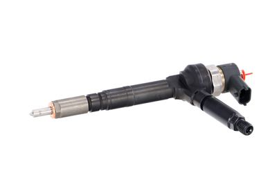 INJECTOR REMANTE 002003001190R 7