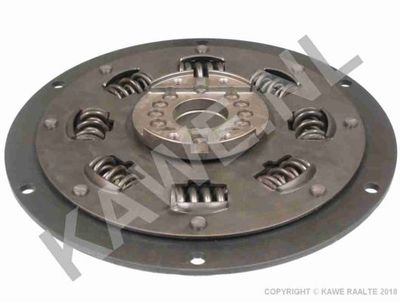 AMORTIZOR TORSIUNE AMBREIAJ