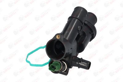 FLANSA LICHID RACIRE BIRTH 8889 11