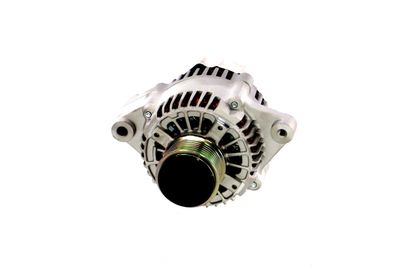 GENERATOR / ALTERNATOR REMANTE 011003000965R 59