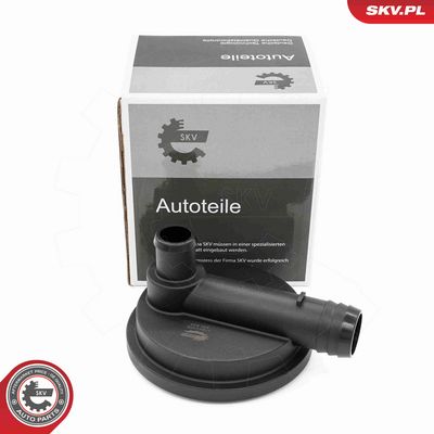 SEPARATOR ULEI VENTILATIE BLOC MOTOR ESEN SKV 31SKV409