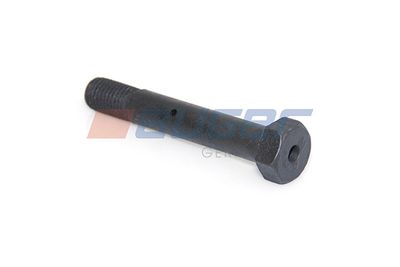 Veerbout M20x2,5 (lengte bouten 127mm)