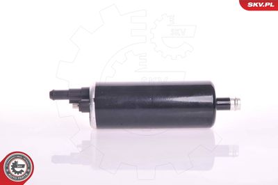 Fuel Pump 02SKV018