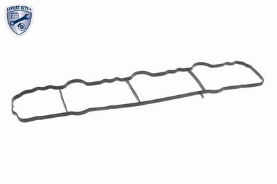MODUL CONDUCTA ADMISIE VAICO V304212 5