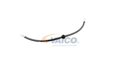 FURTUN FRANA VAICO V201909 32