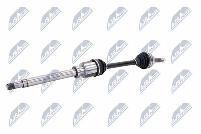 PLANETARA NTY NPWFR063 4