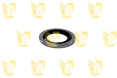 Уплотнительное кольцо, резьбовая пробка маслосливн. отверст. UNIGOM 162081