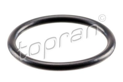 Luchtgeleider afdichtring (23,8x2,4mm)