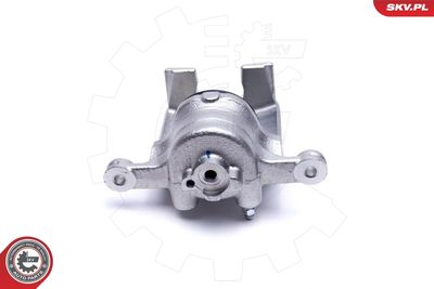 Brake Caliper 56SKV021