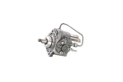 POMPA DE INALTA PRESIUNE REMANTE 002002001380R 9