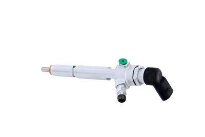 INJECTOR REMANTE 002003000006R 17