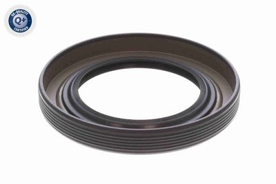 SIMERING ARBORE COTIT VAICO V303865