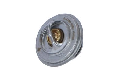TERMOSTAT LICHID RACIRE NRF 725073 11