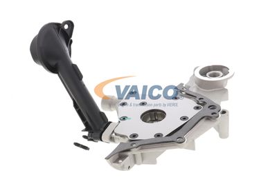 POMPA ULEI VAICO V241257 42