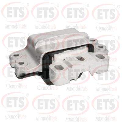 окачване, двигател ETS 31.EM.101