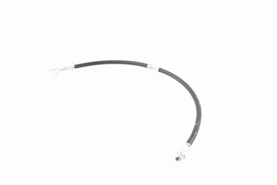 FURTUN FRANA VAICO V103077 3