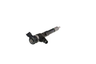 INJECTOR REMANTE 002003001494R 35